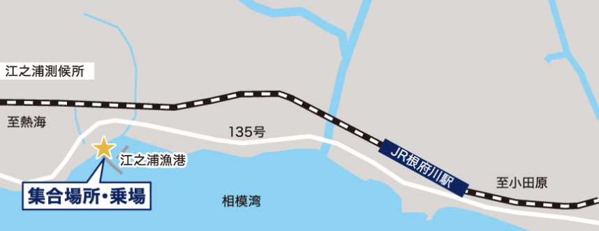 江之浦アクセス