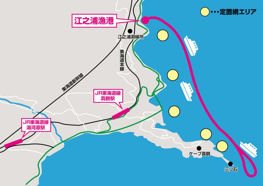 周遊コース