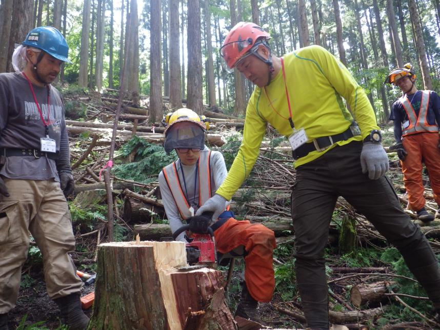 講師による生徒が伐採した木のチェック