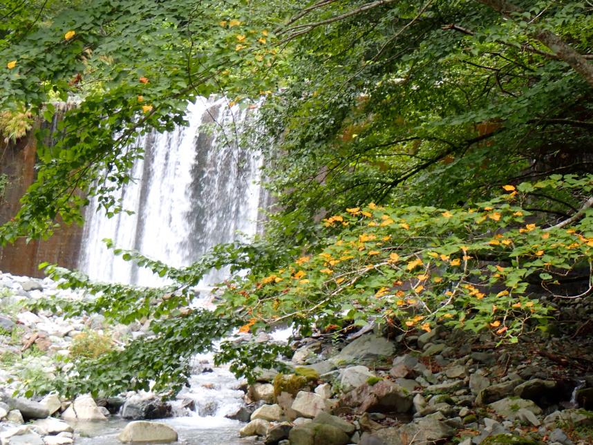 9月19日檜洞丸ゴーラ沢出合