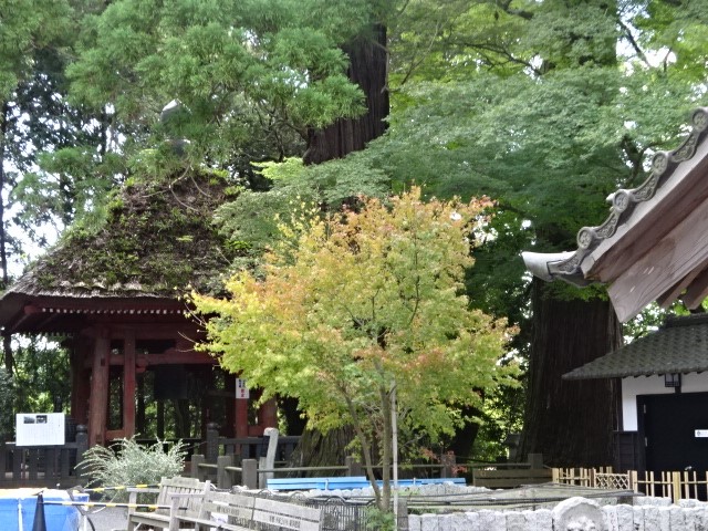 日向薬師境内