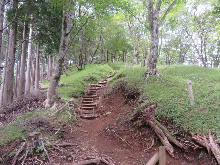 鍋割山標高約1000メートル