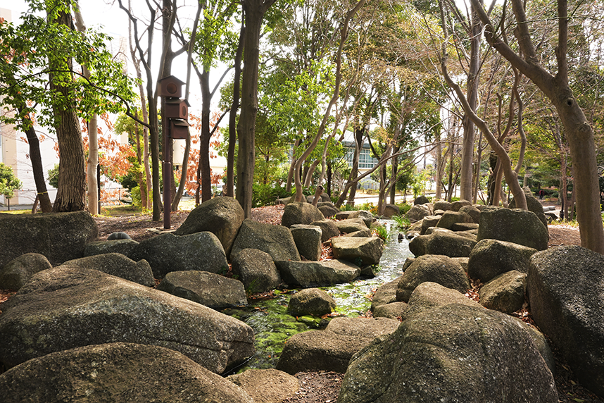 ピクニック広場内を流れるふるさと川
