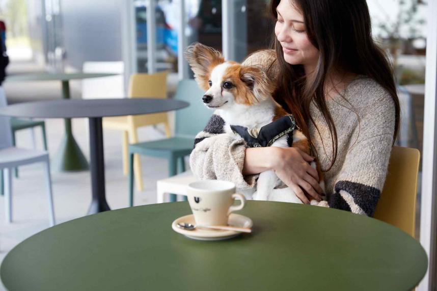 ドッグカフェ&ドッグラン