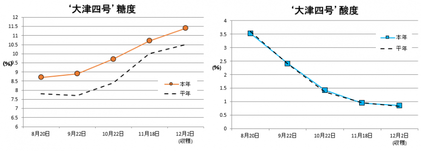 大津四号果実品質
