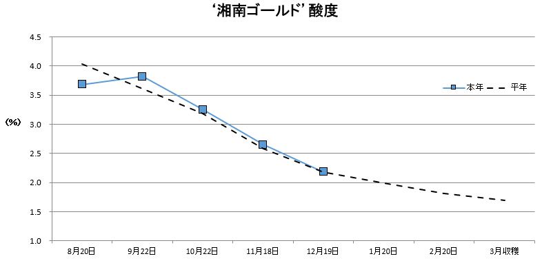 湘南ゴールド酸度