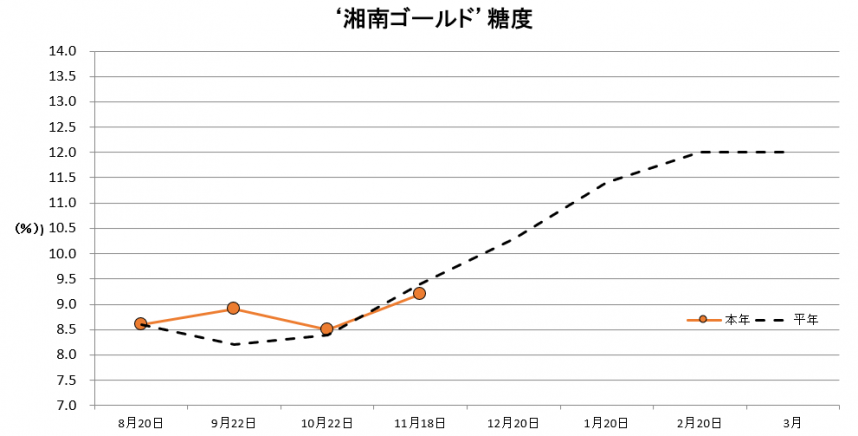 湘南ゴールド糖度