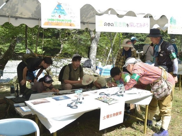 水生・土壌生物観察