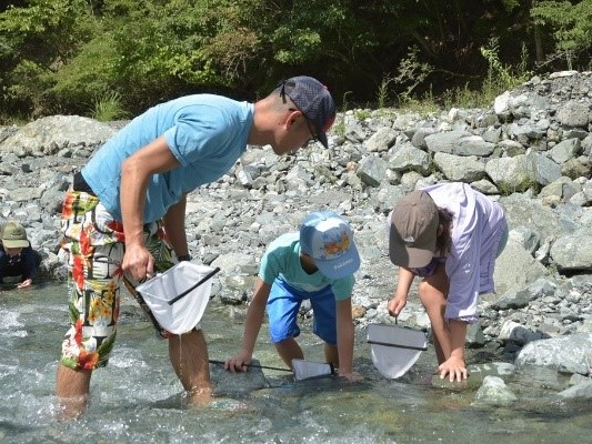 水生生物観察