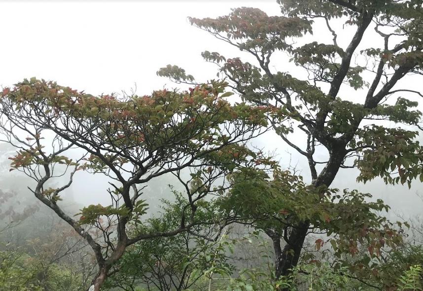 9月28日塔ノ岳山頂