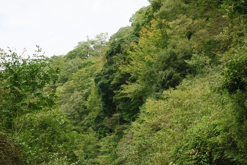 9月30日宮ケ瀬湖周辺2