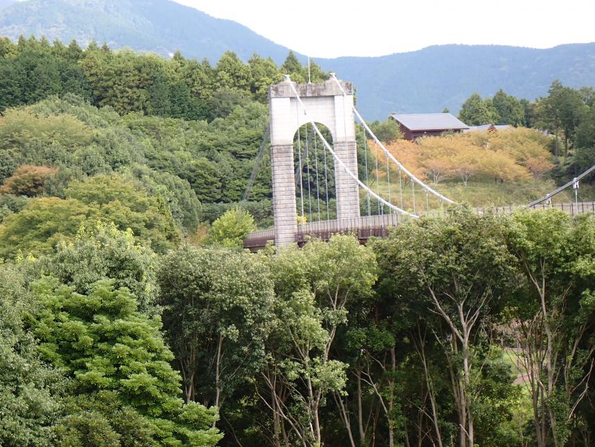 10月10日戸川公園橋