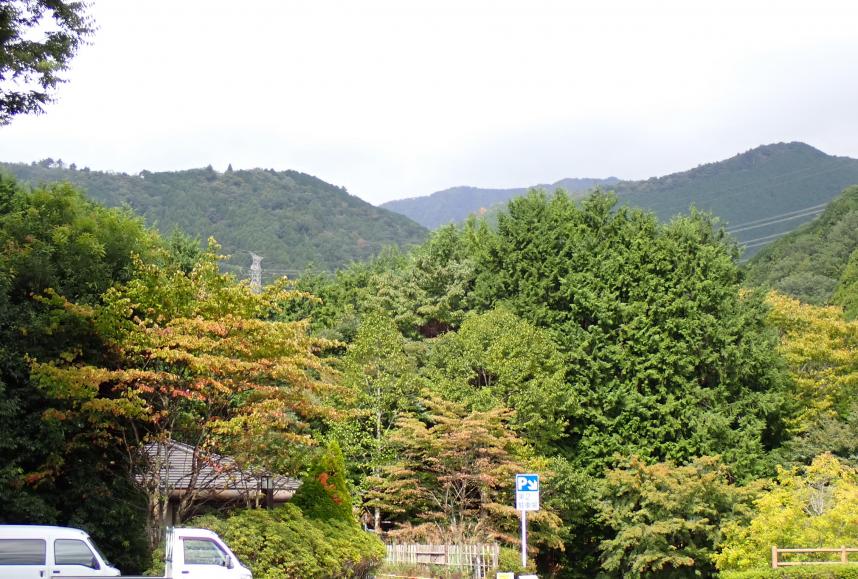 10月10日戸川公園