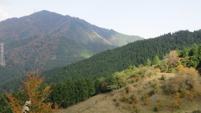 10月30日菩提峠からみた大山