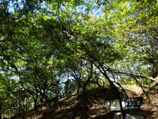 10月17日切通峠周辺色づき始め