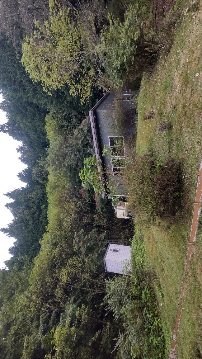 10月10日黍殻山避難小屋周辺色づき始め