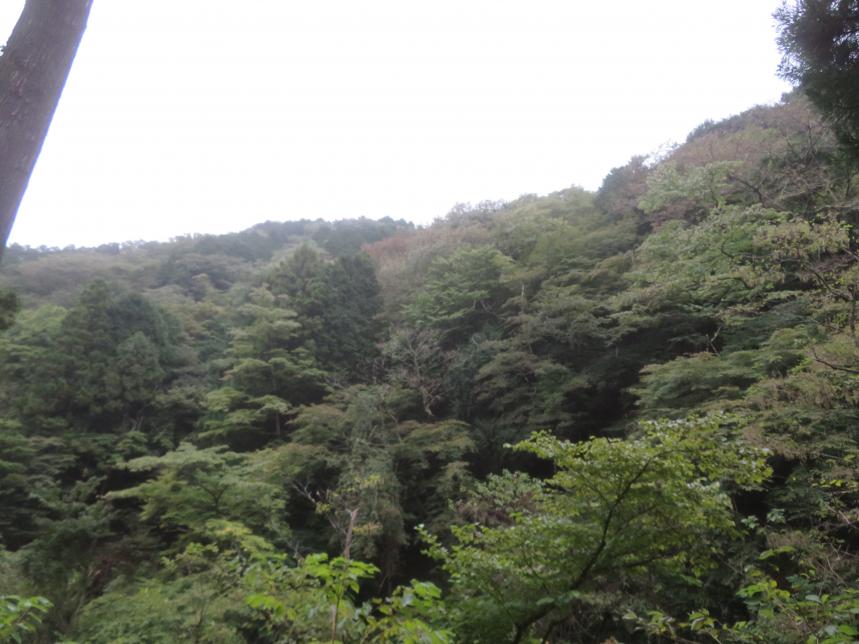 10月15日境沢林道林道出合周辺