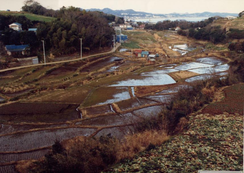 だぼやと地区の農地整備前の写真です