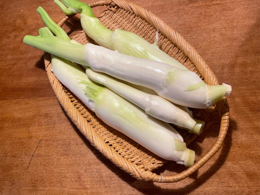 葉を剥いた大磯マコモ