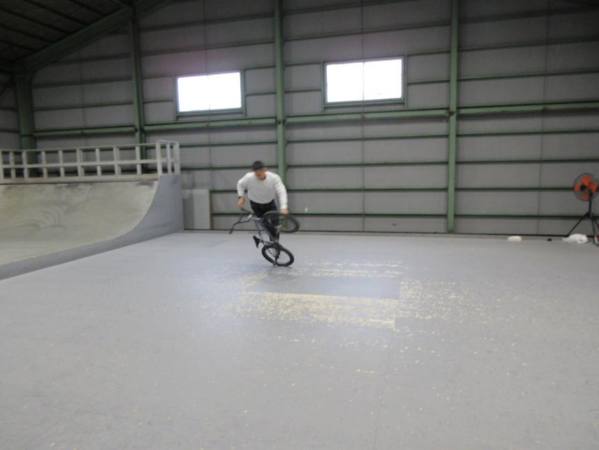 技を披露していただく様子