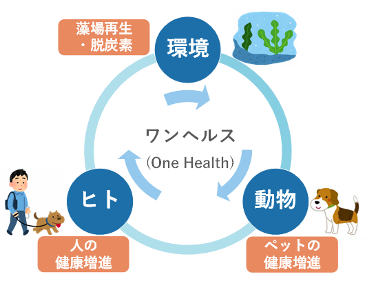 ワンヘルスのイメージ図