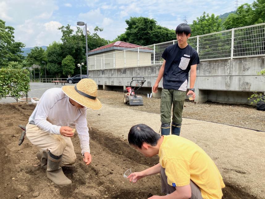津久井やまゆり園と和ゼミ学生の大豆栽培風景
