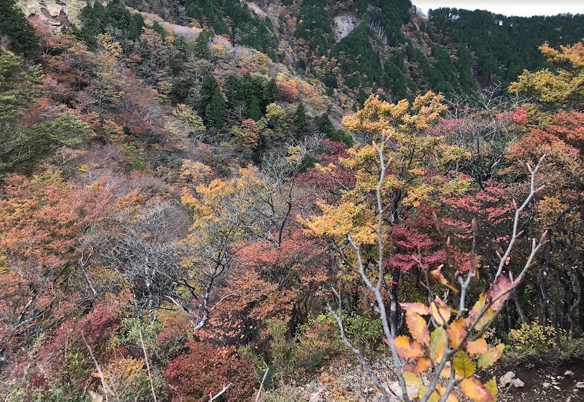令和7年11月2日行者ヶ岳