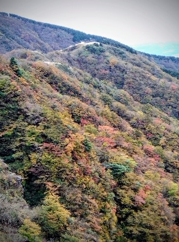 令和7年11月1日烏尾山周辺