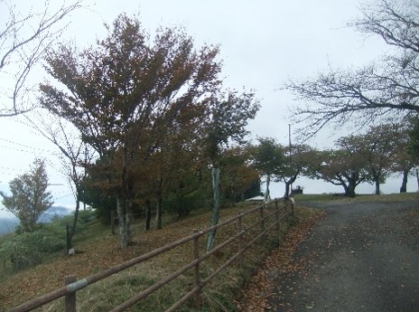 令和7年11月1日大野山山頂