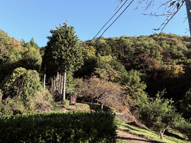 令和7年11月3日栃谷登山口