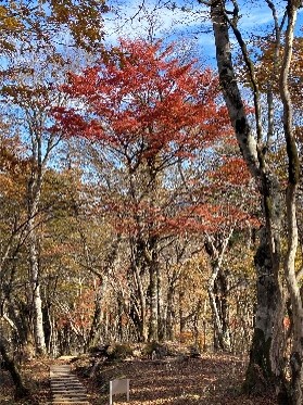 令和7年11月4日菰釣避難小屋