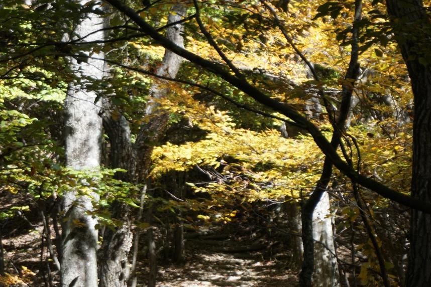 令和7年11月5日仏果山山頂周辺