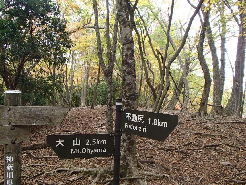 令和7年11月5日大山唐沢峠