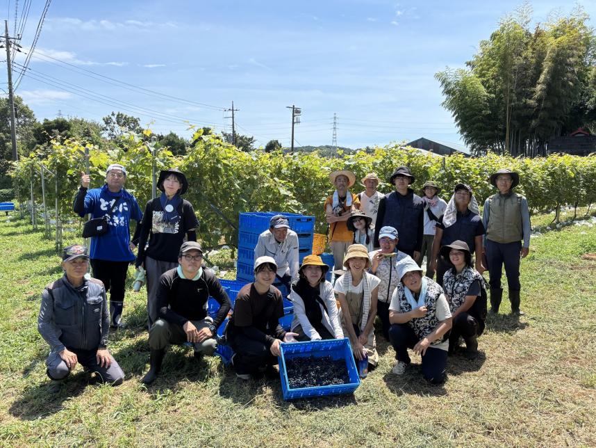 ワイン用ぶどう収穫集合写真