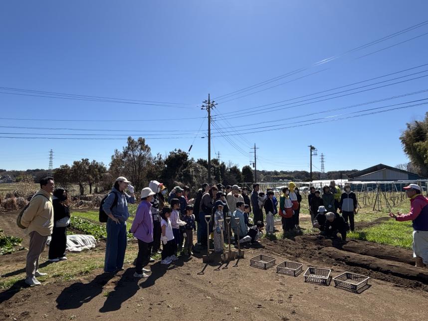 じゃがいもほり