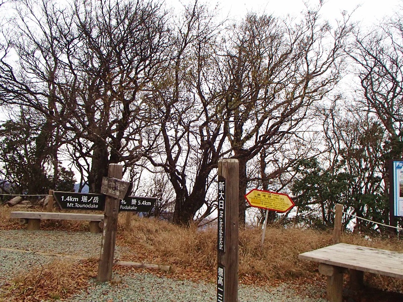 1203_100_05_shindainichitop