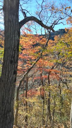 1204_38_04_hanbarakyogatake