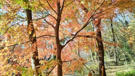 令和7年12月5日権現山から浅間山の間