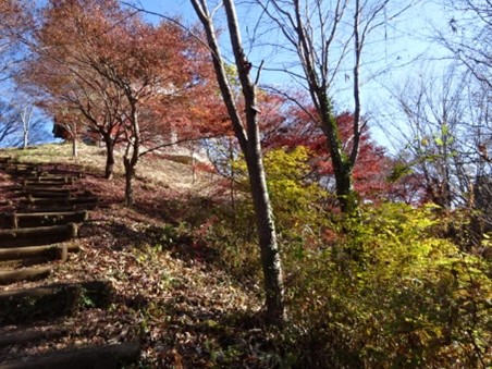 令和7年12月7日権現山（秦野市）山頂