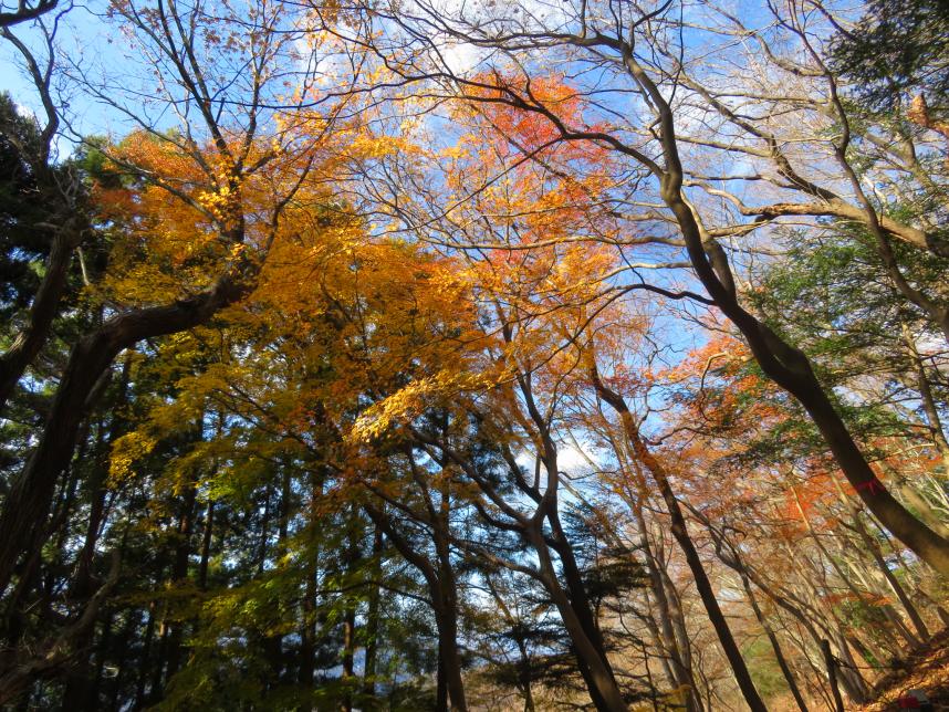 令和7年12月19日仏果山標高約500m