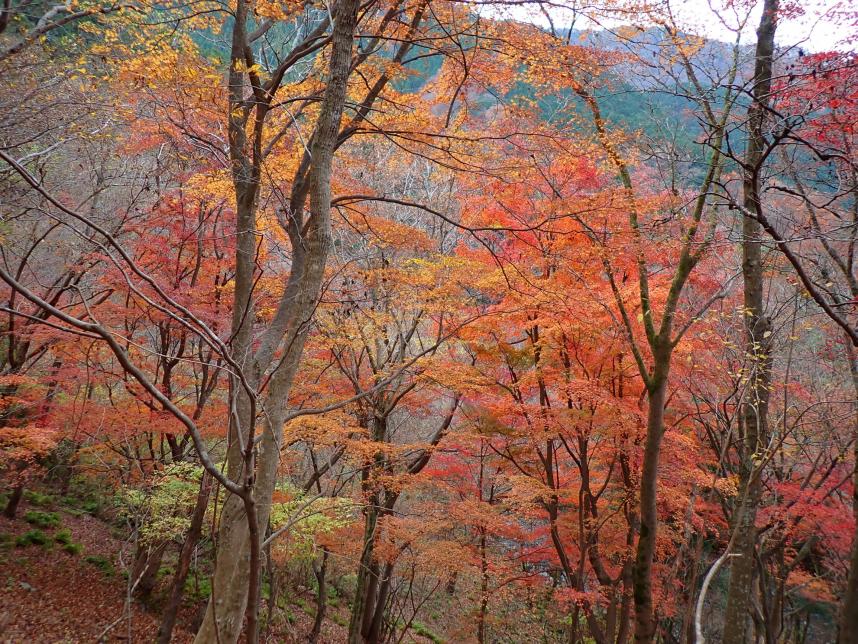 12月3日二俣周辺