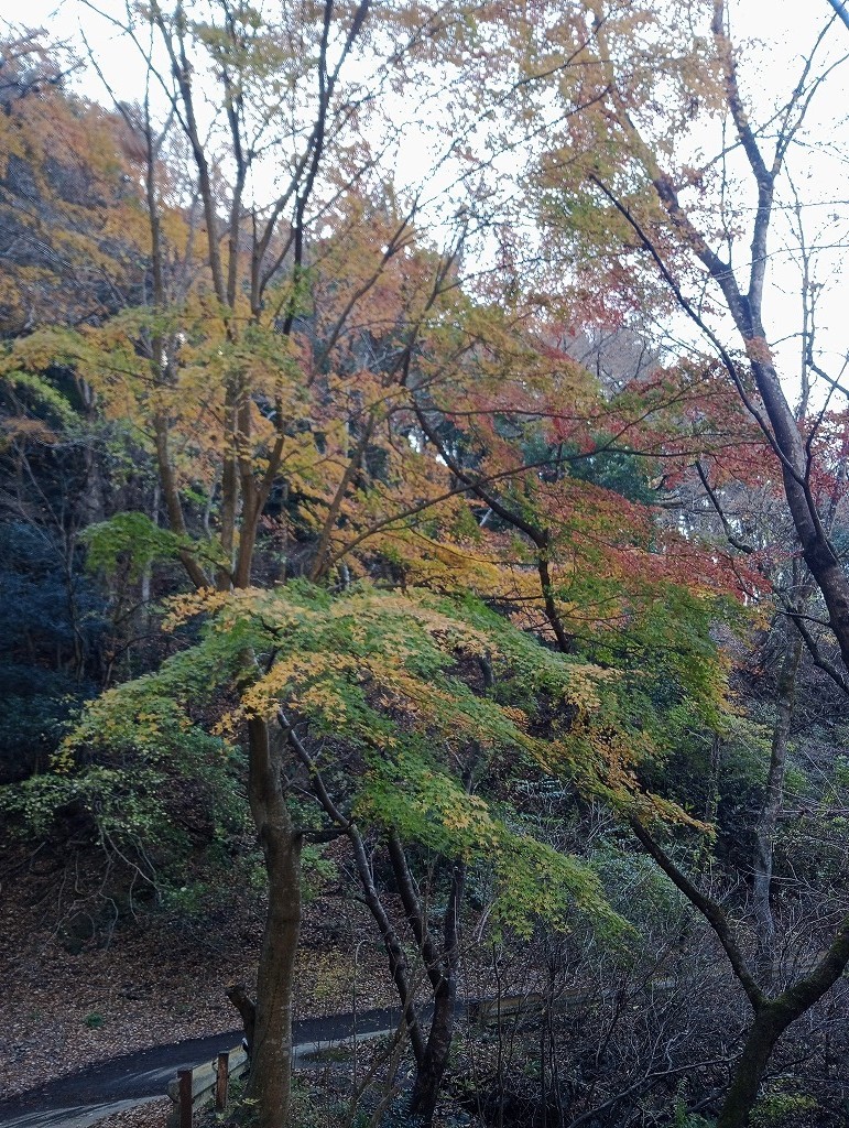 戸川公園周辺