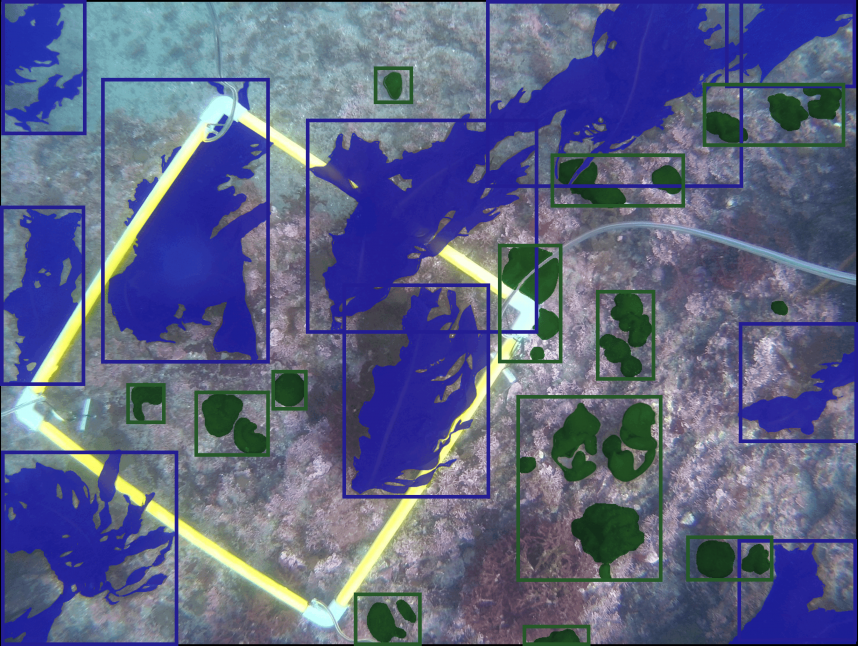 AI判定モデルイメージ