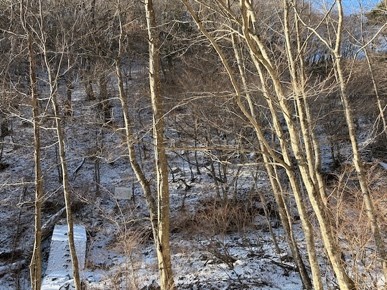 1月4日丹沢山堂平