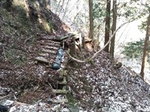 令和8年1月24日境沢標高約800メートル