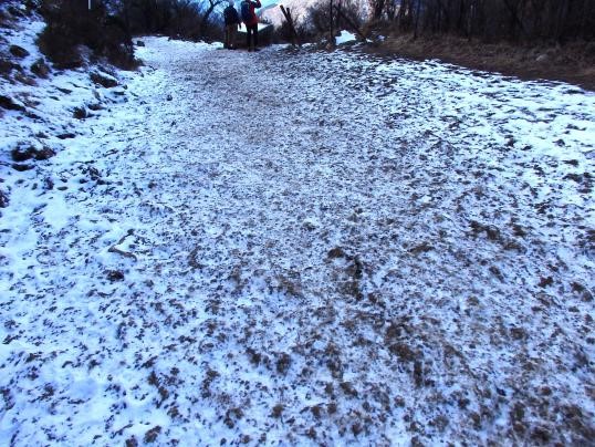 令和8年1月25日大山山頂周辺