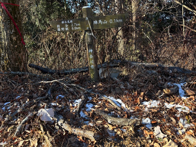 令和8年1月12日陣馬山山頂周辺