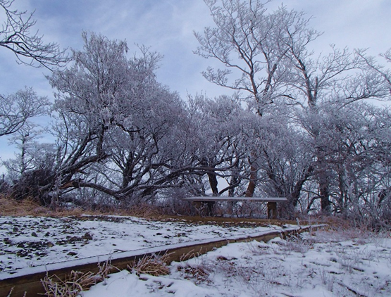 檜洞丸山頂の積雪