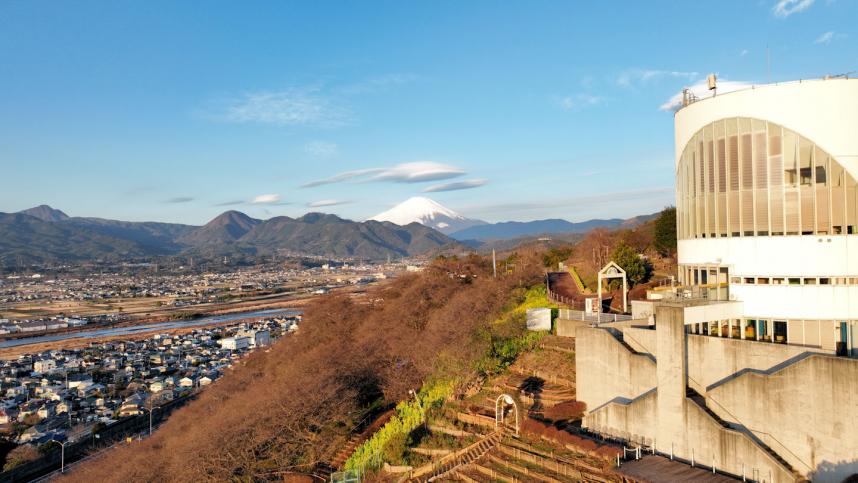 西平畑公園からの富士山