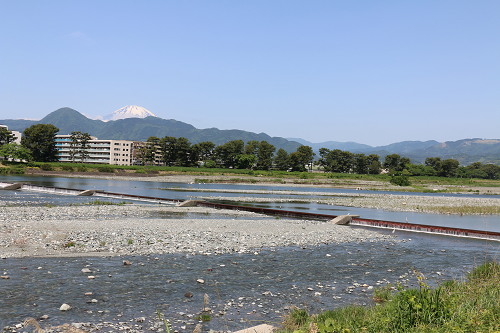 酒匂川からの富士山